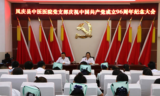 凤庆县中医医院组织开展庆祝建党96周年系列活动(图1)